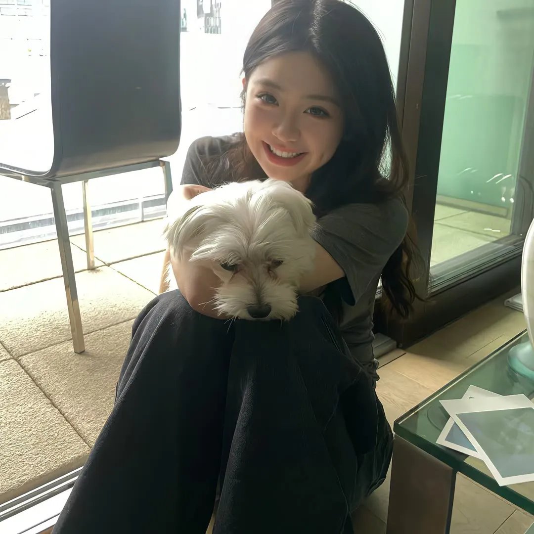 疯狂的狮王 海报