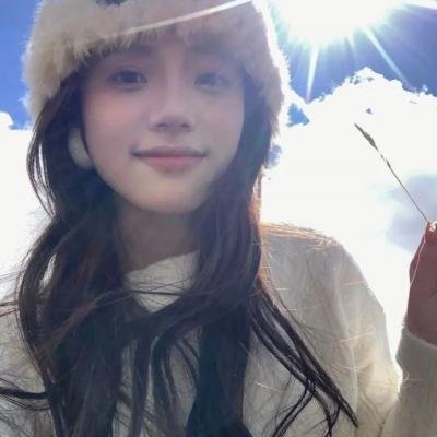 冒牌特工 海报